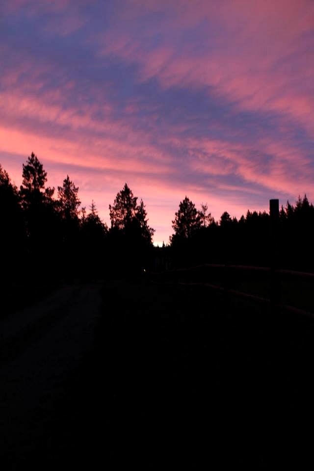 Tree House Style Cabin Nestled at the Foot of Scenic Snow-Capped Mt. Adams, Washington