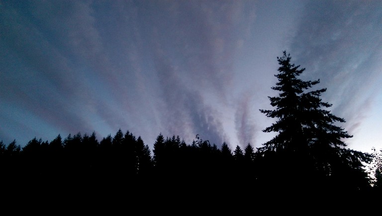 Tree Houses (United States of America, White Salmon, Washington)