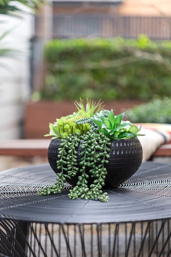 Cabins (United States of America, Eugene, Oregon)