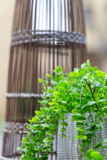 Cabins (United States of America, Eugene, Oregon)