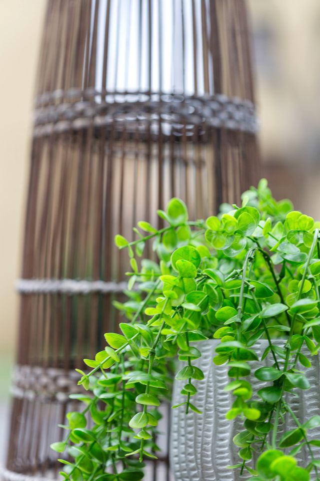 The Pendleton – Walkable / Arcade Loft / Modern in Eugene, OR