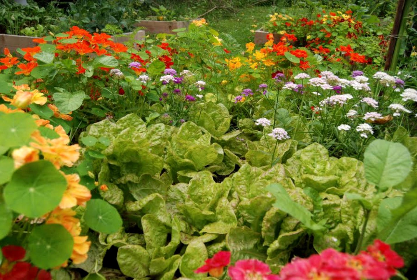 Luxury Weekend Getaway Surrounded by Gardens in Fraser Valley, British Columbia