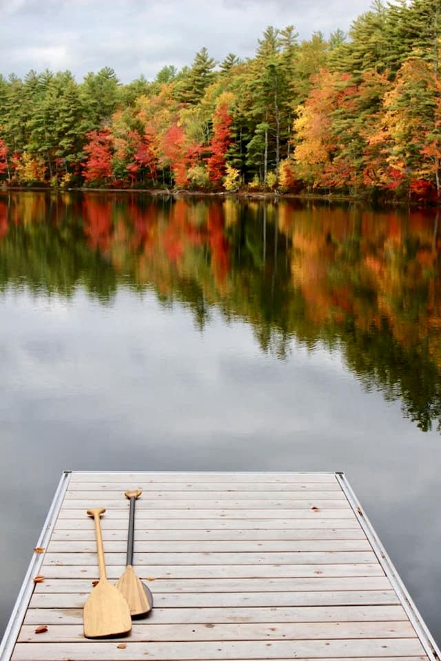 Luxurious Tree House with Hot Tub and Firepit, Perched over Littlefield Pond, Perfect for a Relaxing Weekend Getaway near Portland, Maine