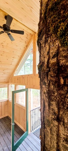 Tree Houses (United States of America, Sanford, Maine)