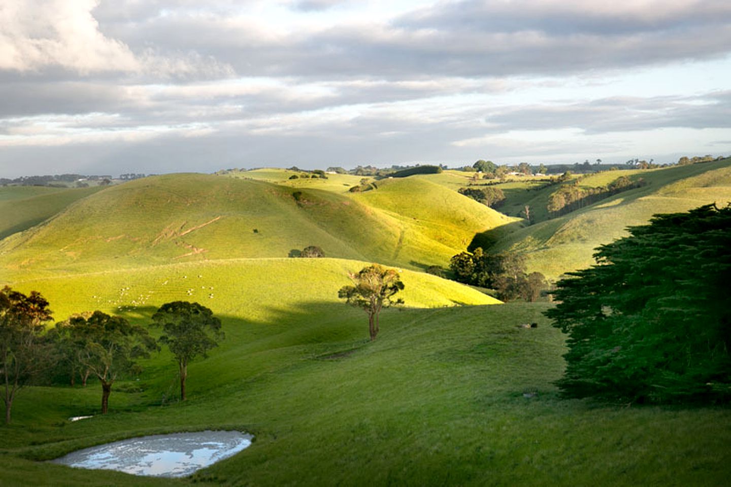 Luxury Yurt Rental for Romantic Glamping Vacations in Jumbunna, Victoria