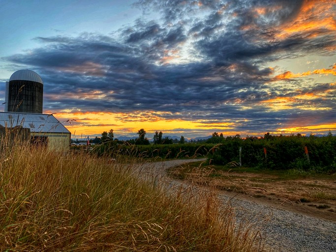 Tiny Houses (United States of America, Lynden, Washington)