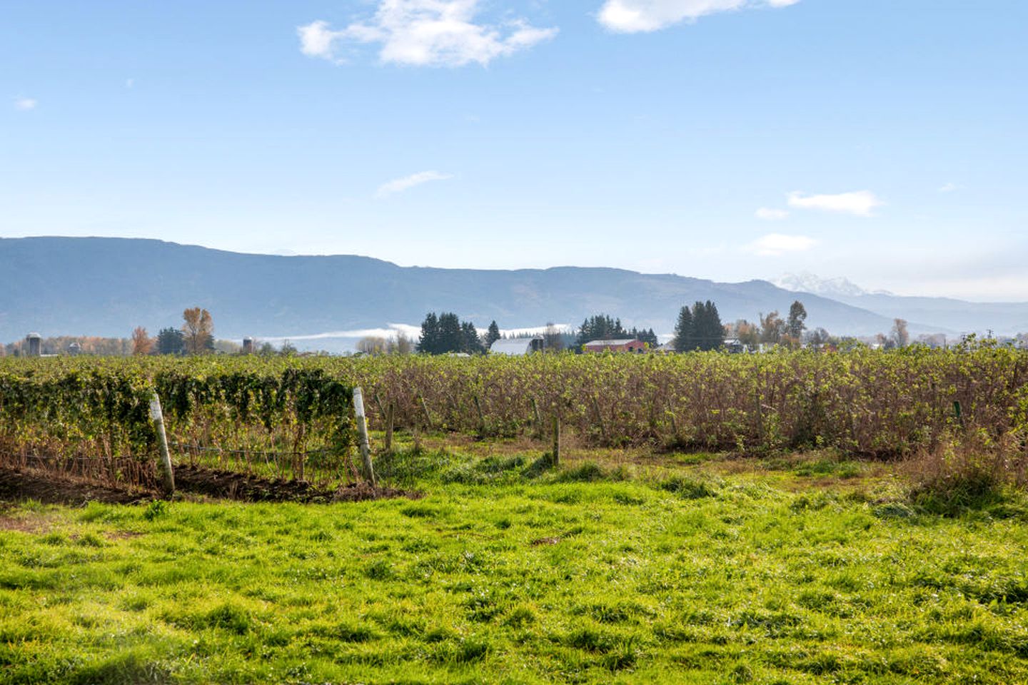 Tranquil Lynden Accommodation Ideal for Glamping near Bellingham, Washington