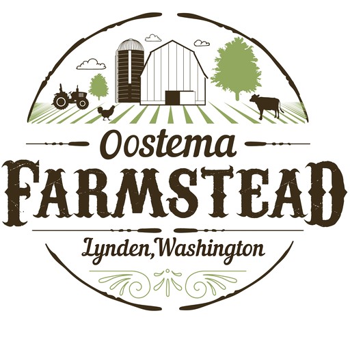 Tiny Houses (United States of America, Lynden, Washington)