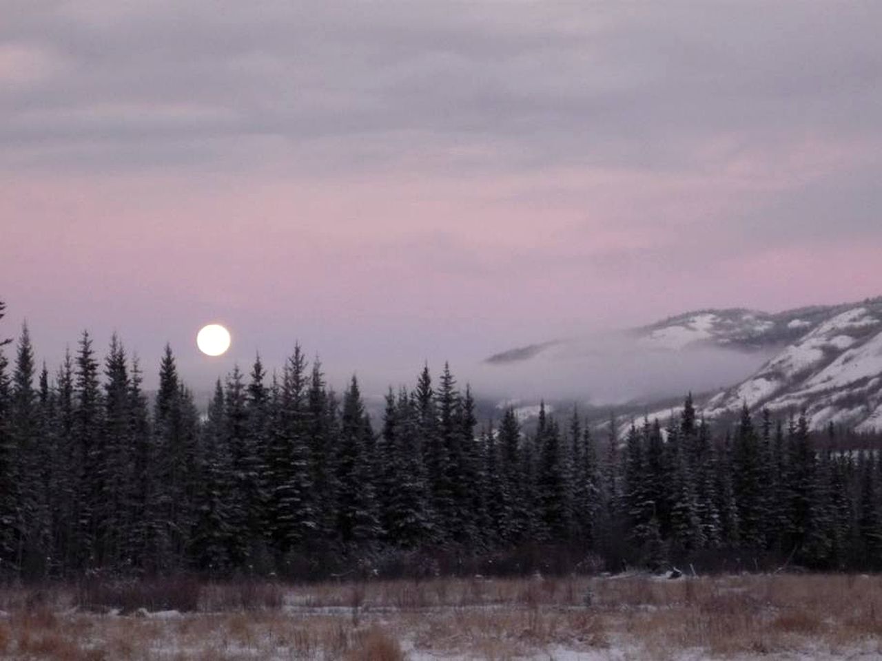 Rural Off-Grid Cabin Rental in the Heart of Yukon Territory, Canada