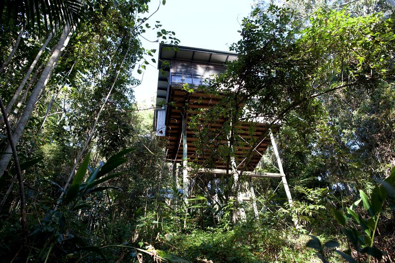 Tree Houses (Sunshine Coast, Queensland, Australia)