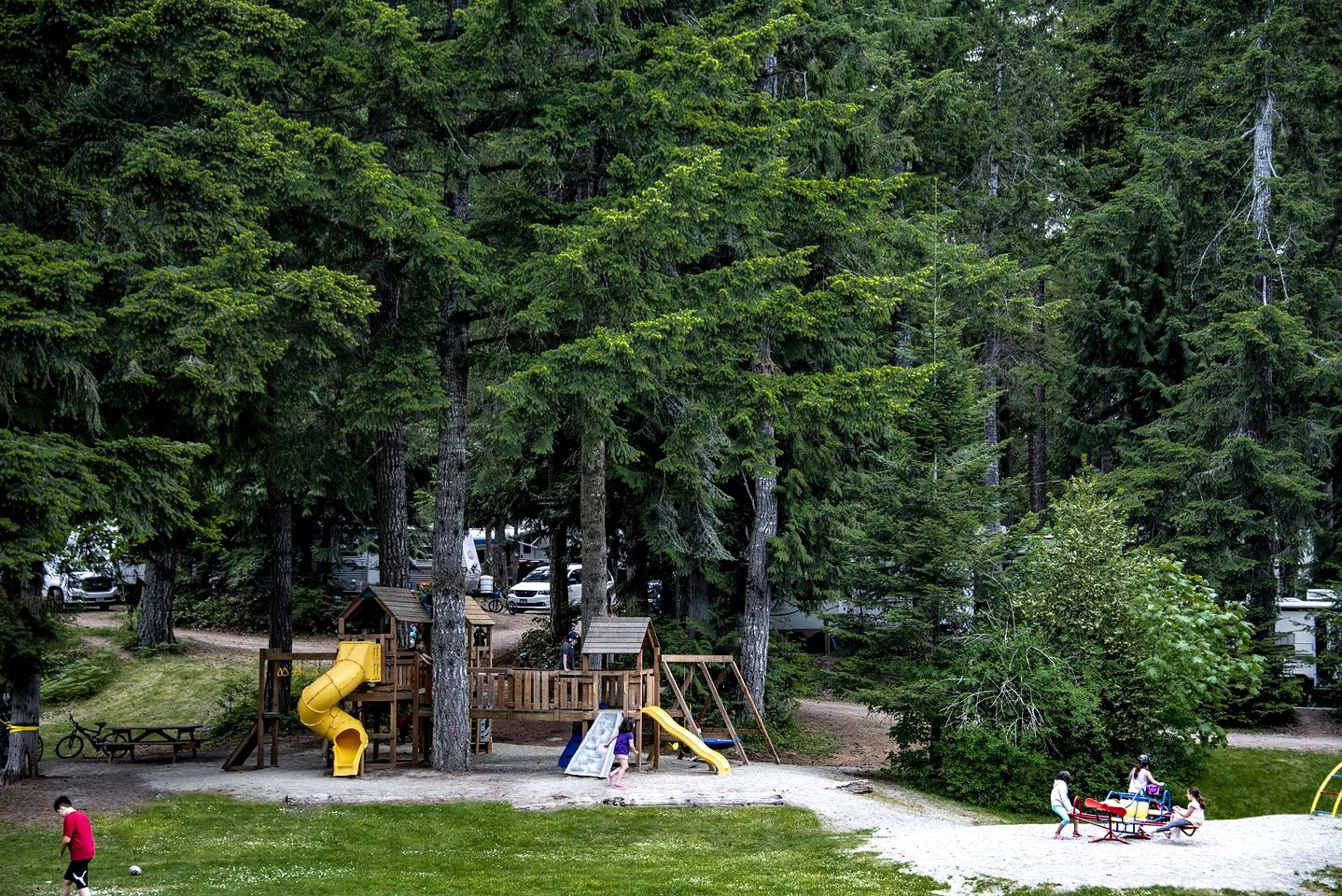 Enjoyable Cabin Surrounded by Trees in Nanaimo, British Columbia
