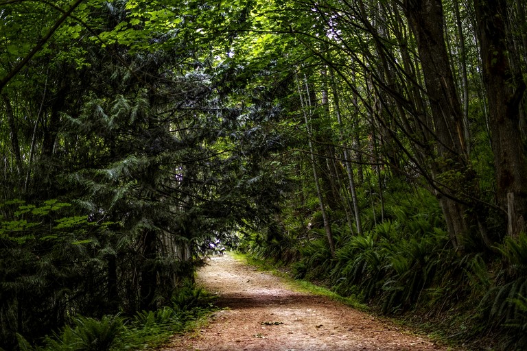 Quaint Cabin with Lofted Interior in British Columbia | Cabins (Nanaimo, British Columbia, Canada)