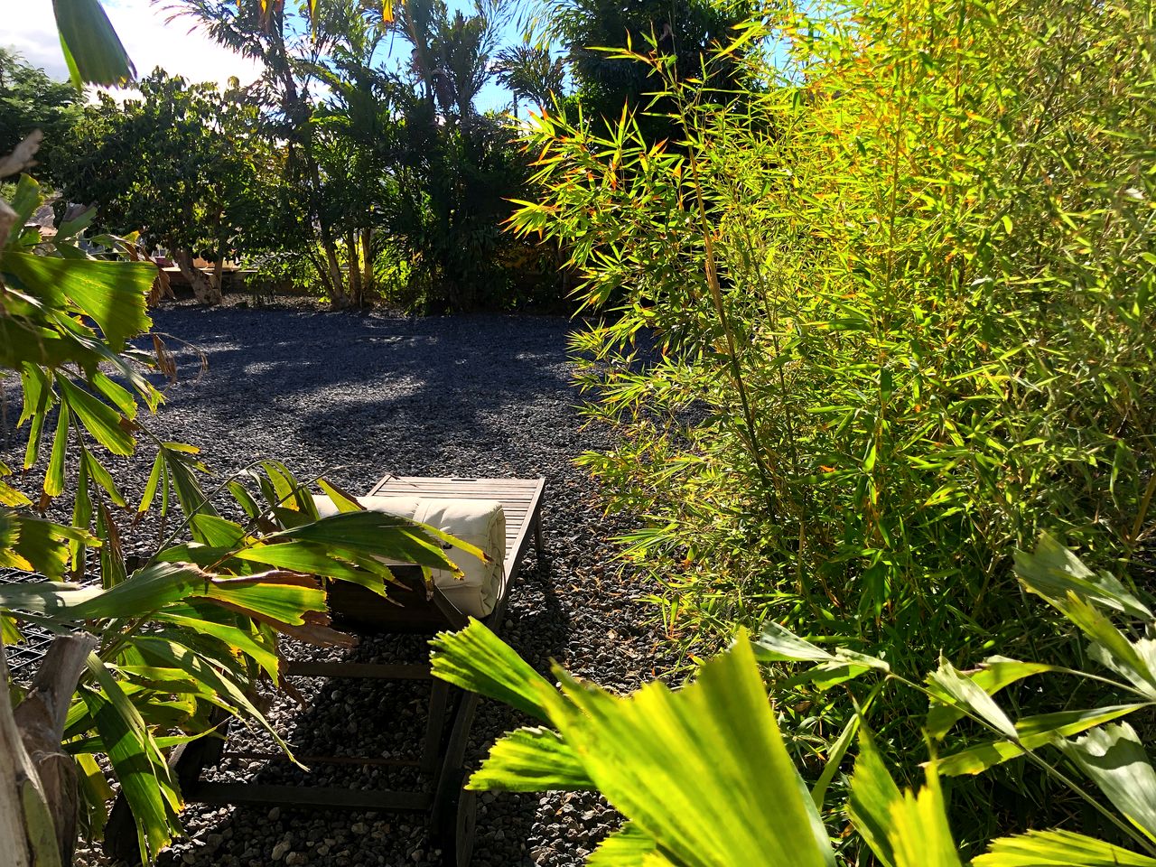 Modern Eco-Friendly Cave Stay with Stargazing & Organic Gardens near La Laguna, Canary Islands