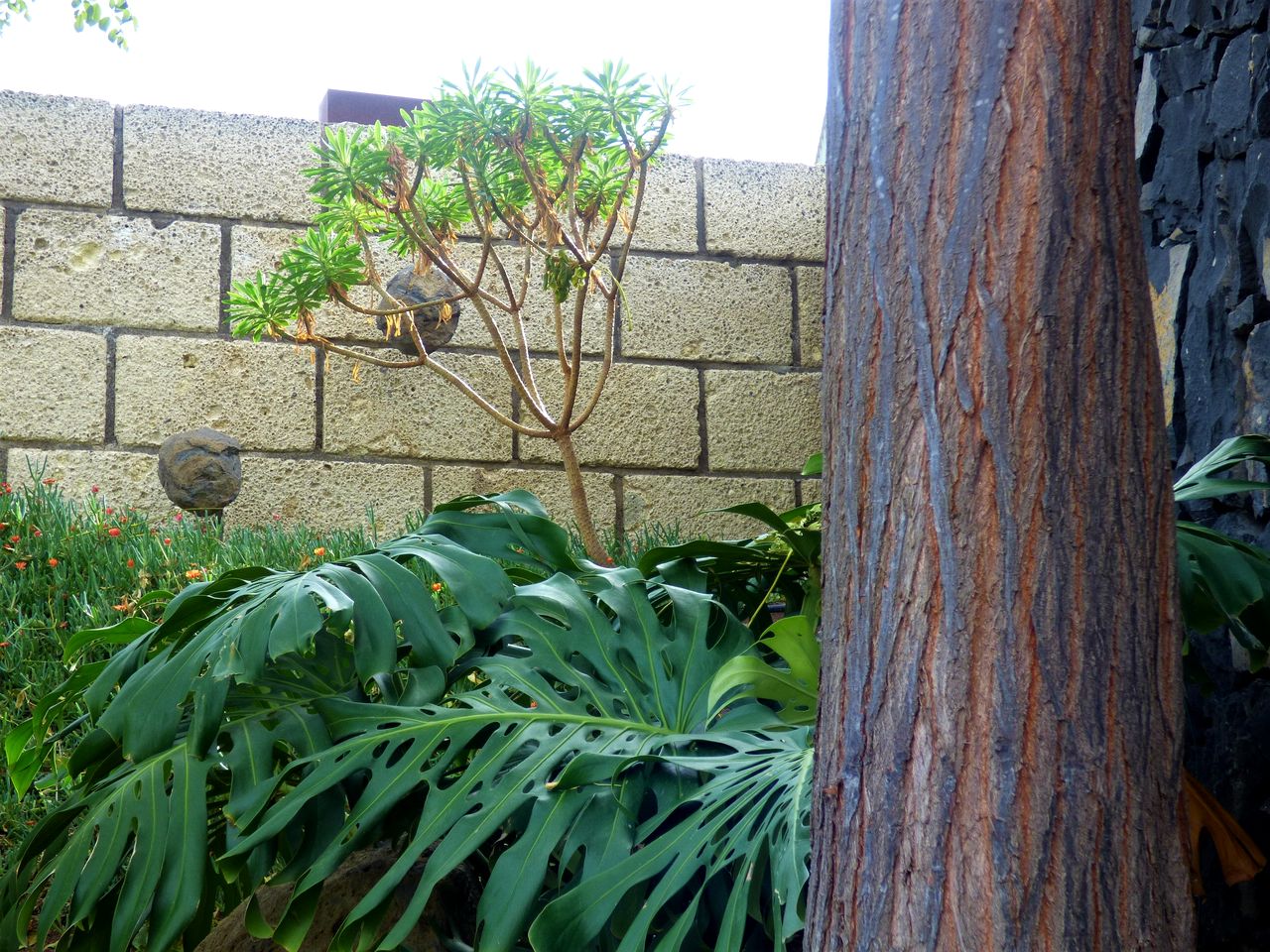 Modern Eco-Friendly Cave Stay with Stargazing & Organic Gardens near La Laguna, Canary Islands