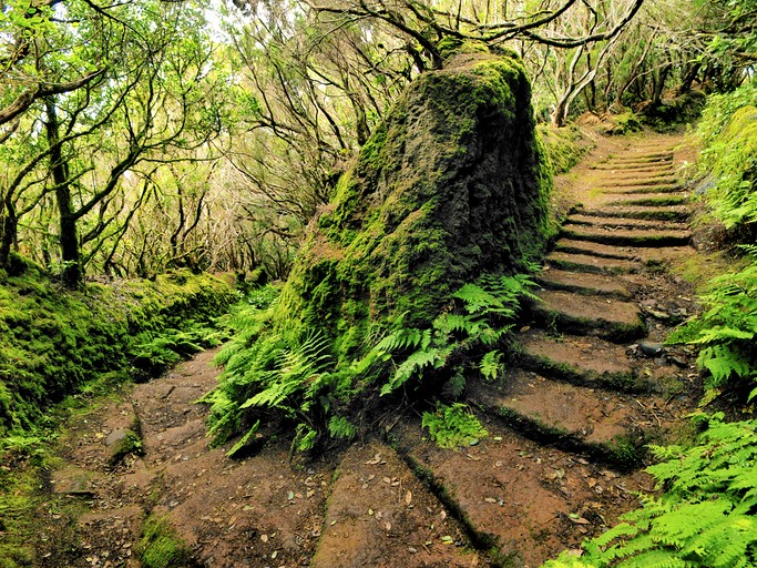 Caves (Spain, La Laguna, Canary Islands)
