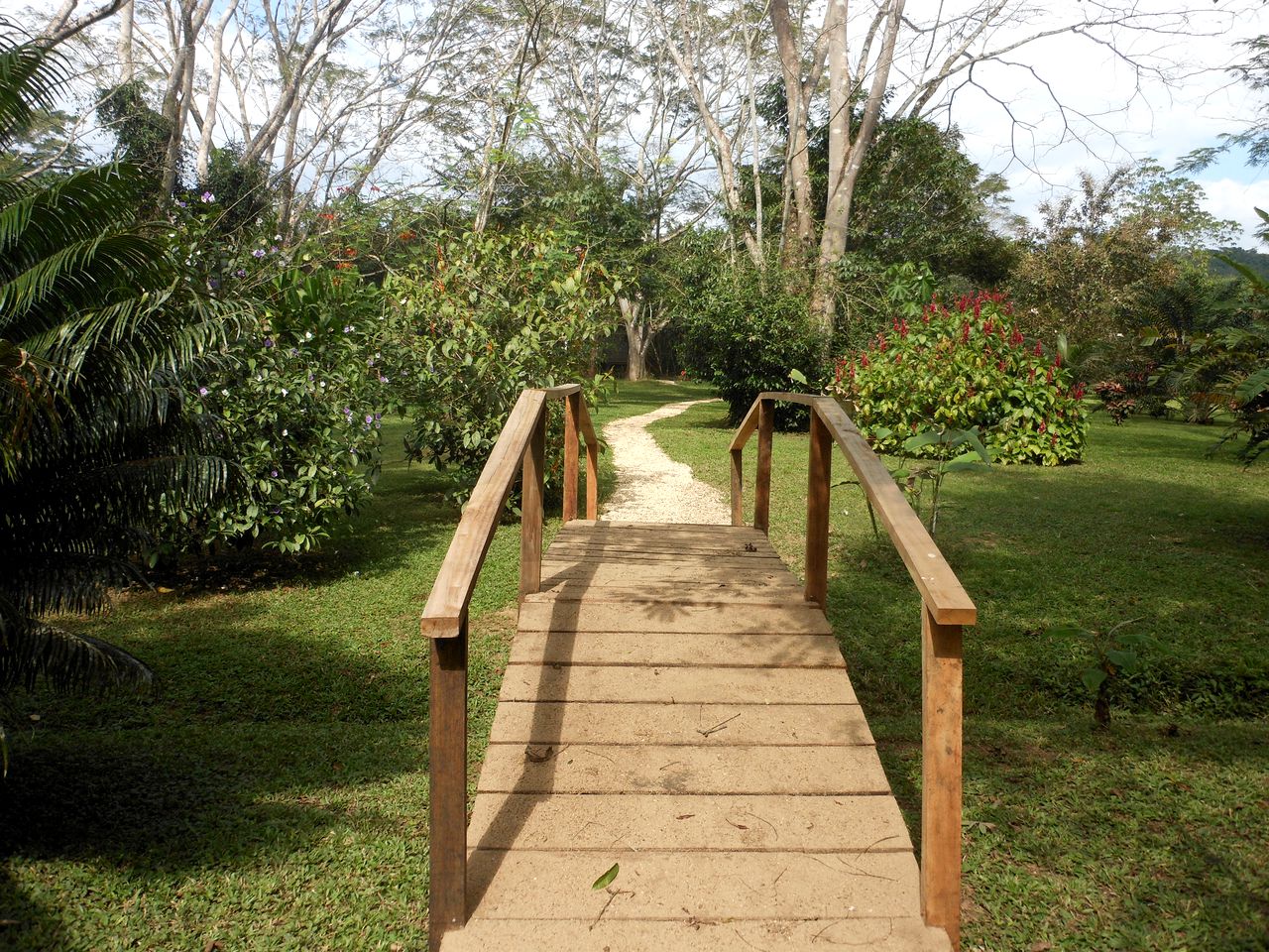 Colorful Jungle Cabana for Three with Amazing Trail Access  in Belize