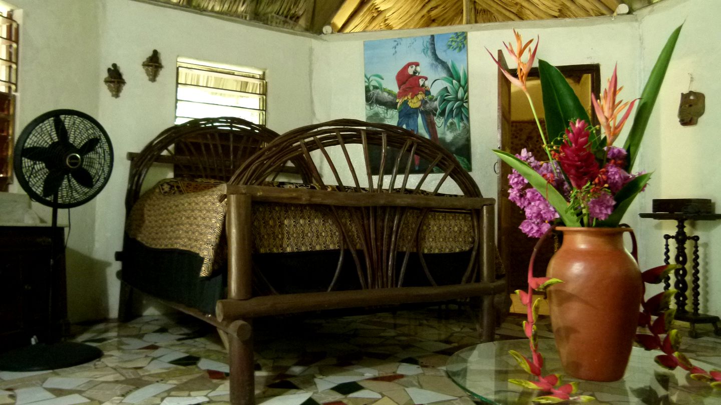 Colorful Jungle Cabana for Three with Amazing Trail Access  in Belize