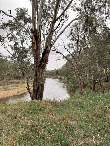Tiny Houses (Australia, Dubbo, New South Wales)