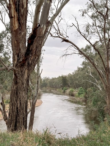 Tiny Houses (Australia, Dubbo, New South Wales)