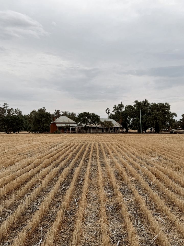Luxurious Tiny House with Incredible River Views and Perfect for Outdoor Activities in New South Wales, Australia