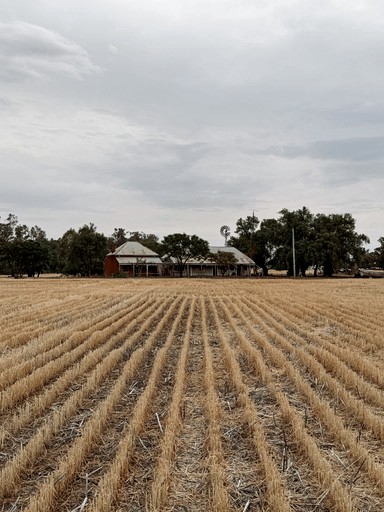 Tiny Houses (Australia, Dubbo, New South Wales)