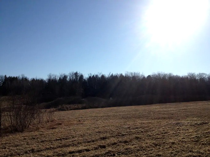 Log Cabins (Canajoharie, New York, United States)