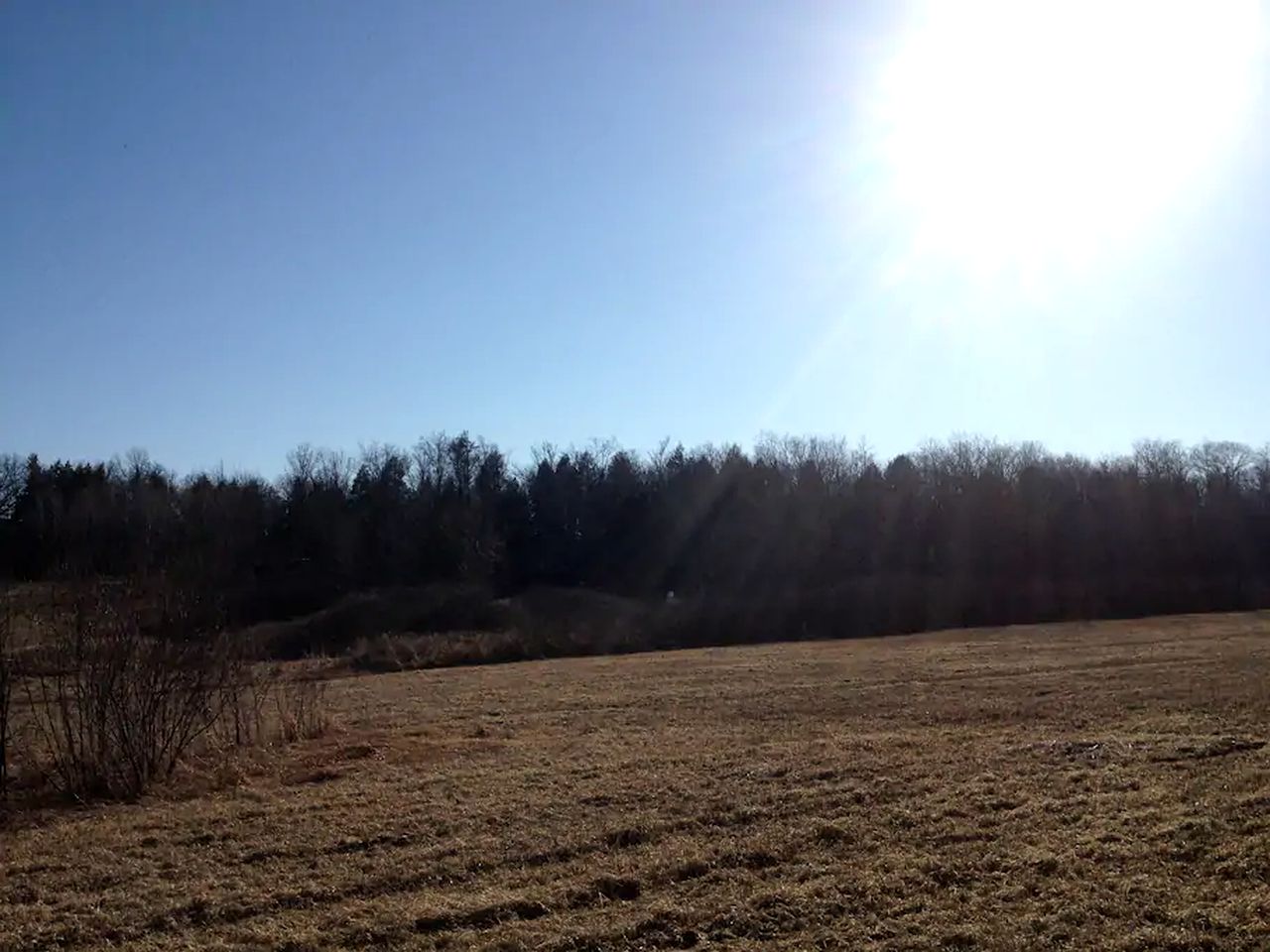 Rustic Pet-Friendly Log Cabin in the Woodlands near Utica, New York