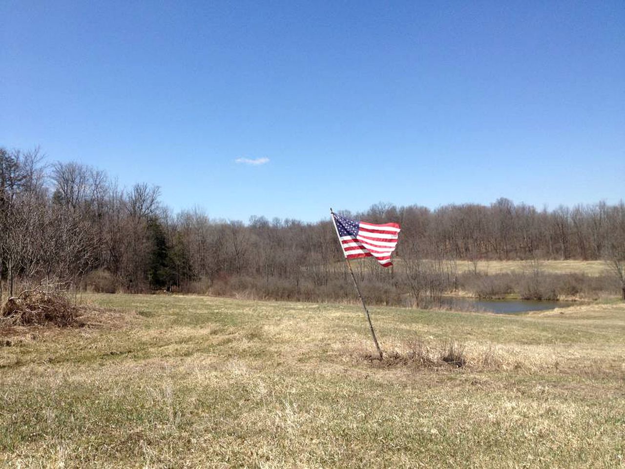 Rustic Pet-Friendly Log Cabin in the Woodlands near Utica, New York