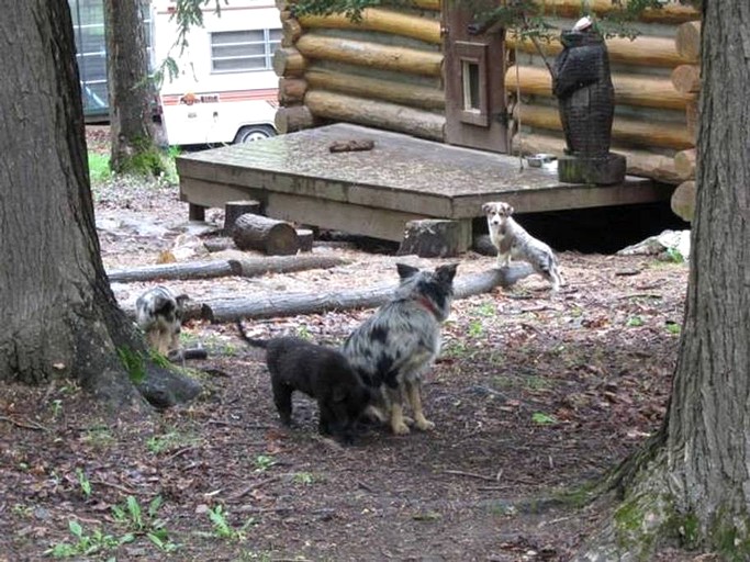 Log Cabins (Canajoharie, New York, United States)