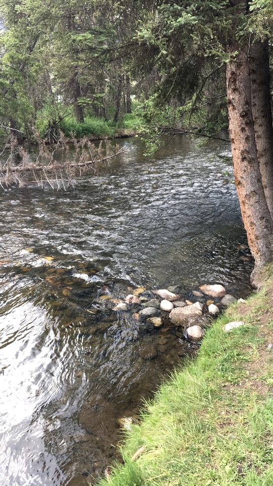 Charming Riverside Cabin with Deck Overlooking Madison River near Three Dollar Bridge in McAllister, Montana