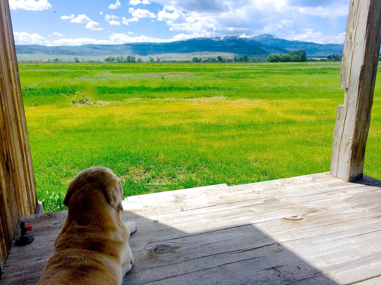 Romantic Cabin Getaway Along the Madison River in Ennis, Montana
