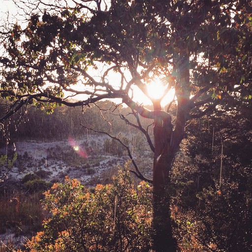Cottages (Dripping Springs, Texas, United States)