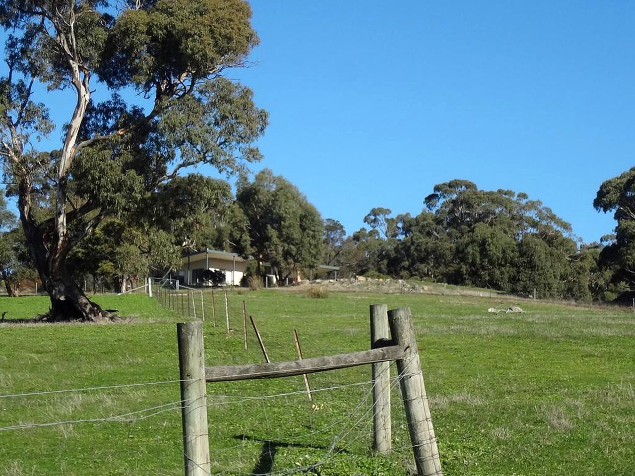 Rustic Cottage Rental near Grampians National Park, Halls Gap, Victoria