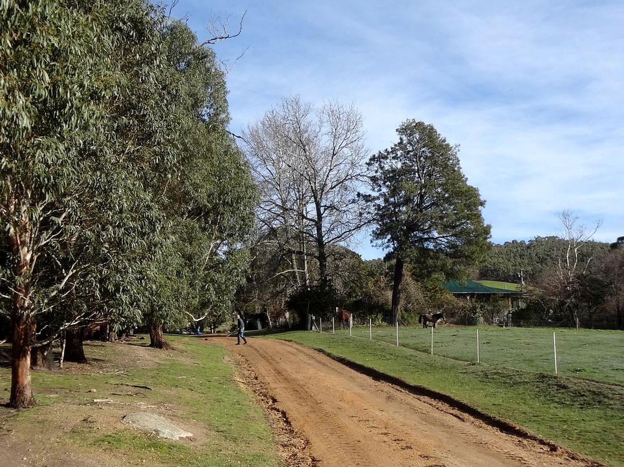 Rustic Cottage Rental near Grampians National Park, Halls Gap, Victoria