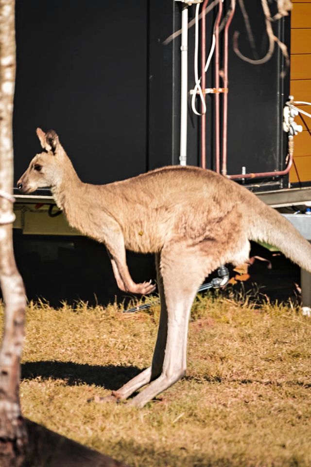Magic Mirrored Tiny House with Sauna in Queensland, Australia