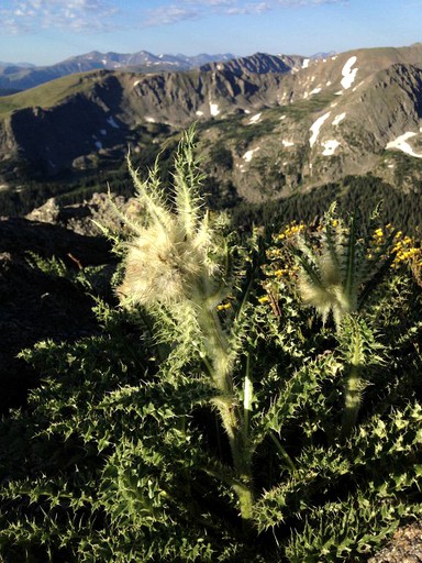 Cabins (Nederland, Colorado, United States)