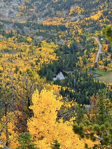 Cabins (Nederland, Colorado, United States)