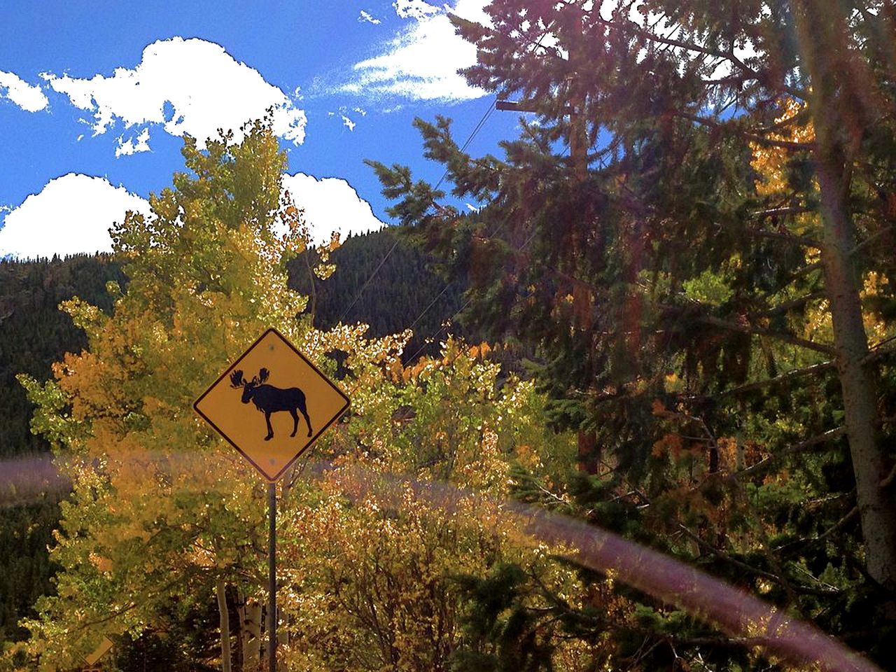 Charming Cabin Rental with Wood-Burning Stove in Eldora, Colorado