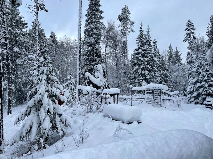 Yurts (United States of America, Sandpoint, Idaho)