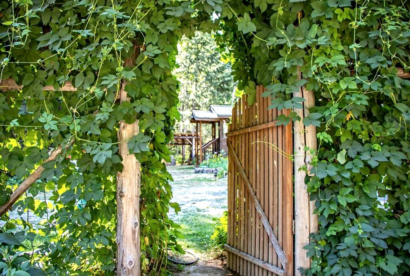 Cozy Mountain Yurt with Panoramic Views near Selkirk Mountains, Sandpoint Idaho