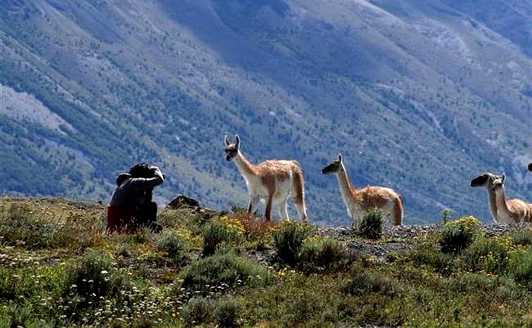 Yurts (Torres del Paine, Magallanes, Chile)