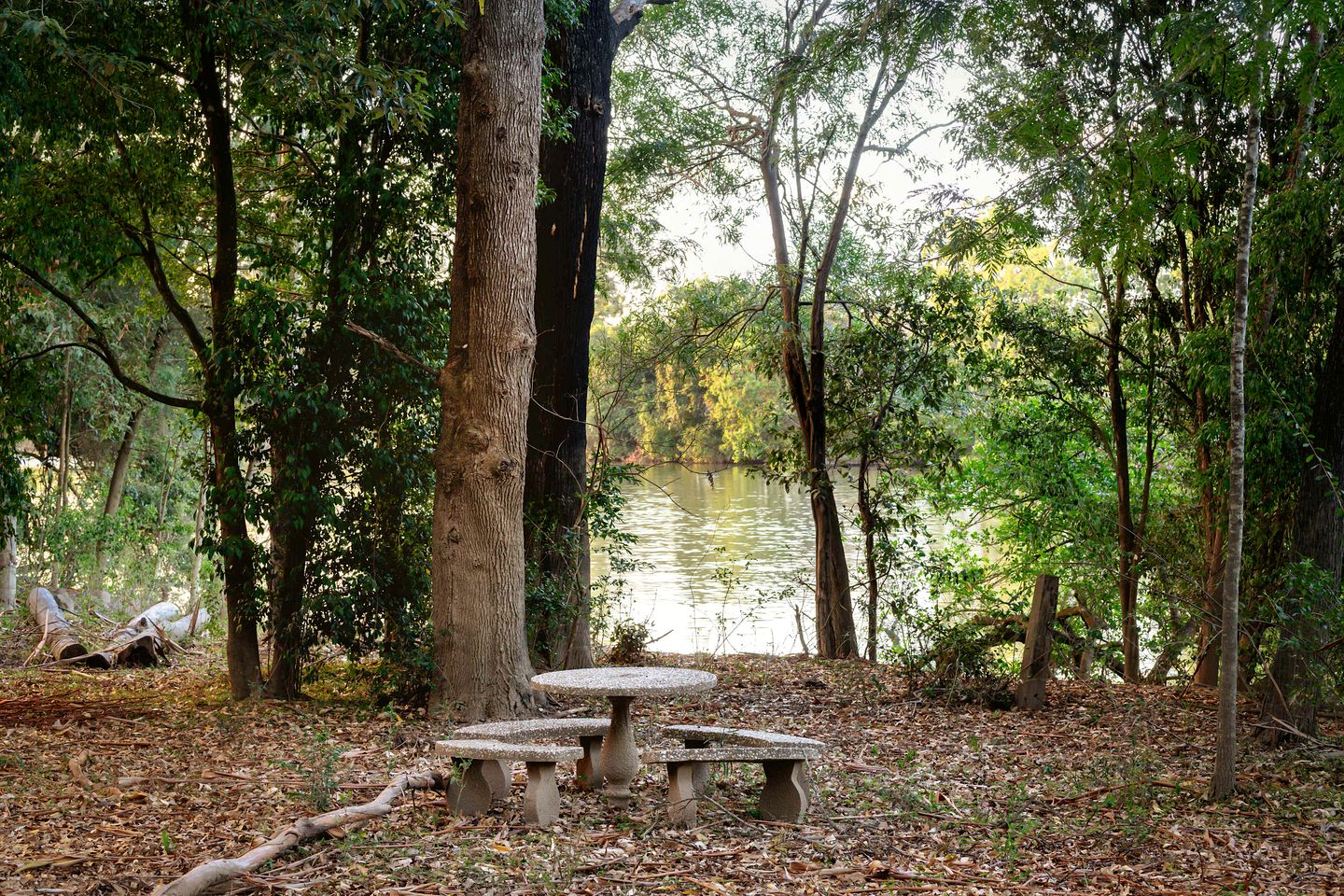 Magnificent Riverfront Tiny House with Fire Pit in Eagleton, New South Wales