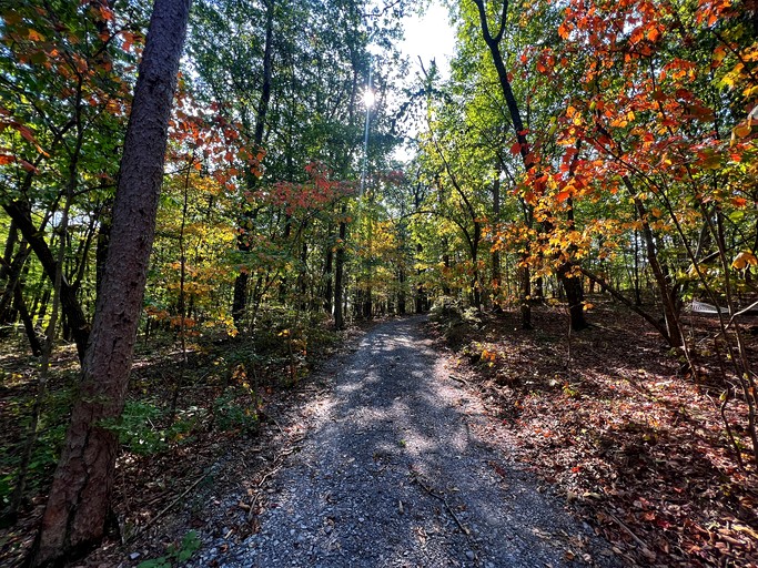 Cabins (United States of America, Fort Payne, Alabama)