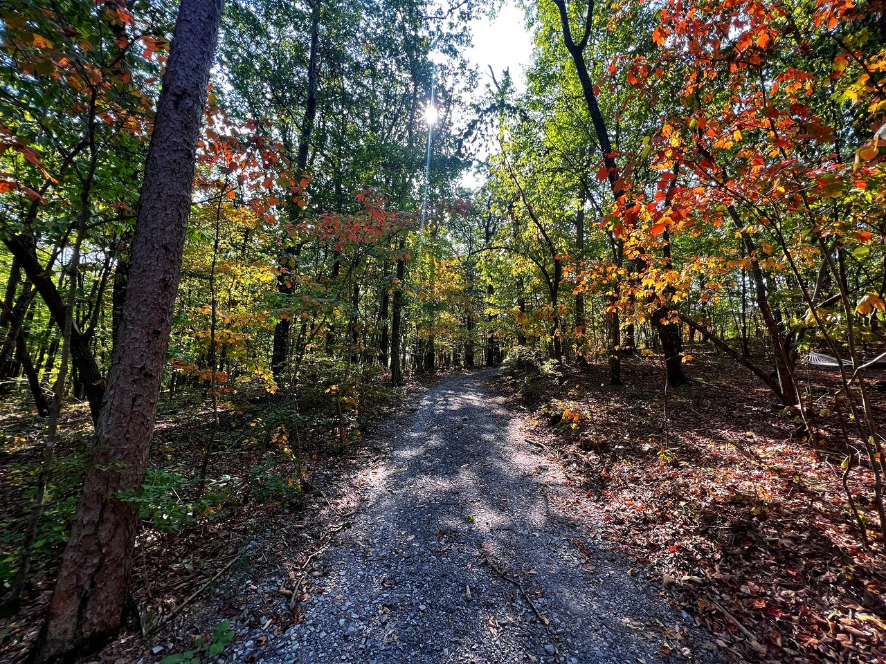 Magnificent Secluded Cabin in Fort Payne, Alabama