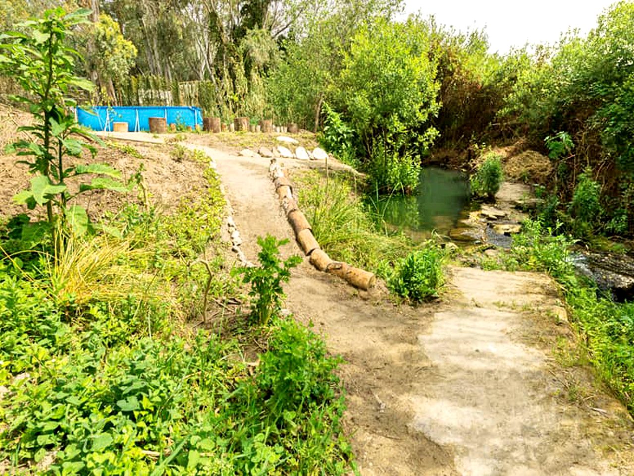 Picturesque Rural Cottage for a Family Holiday near Cádiz, Spain