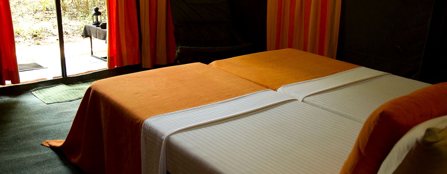 Unique and Comfortable Tent Accommodation near Wilpattu National Park, Sri Lanka