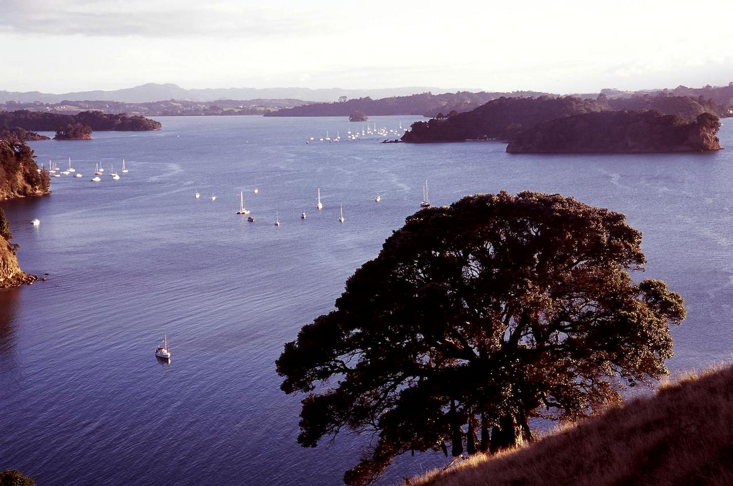 Lovely Glamping Getaway near Mahurangi Park and Puhoi, North Island