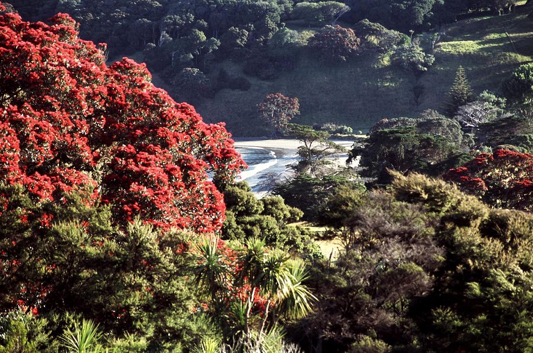 Nature Lodges (Mahurangi West, North Island, New Zealand)