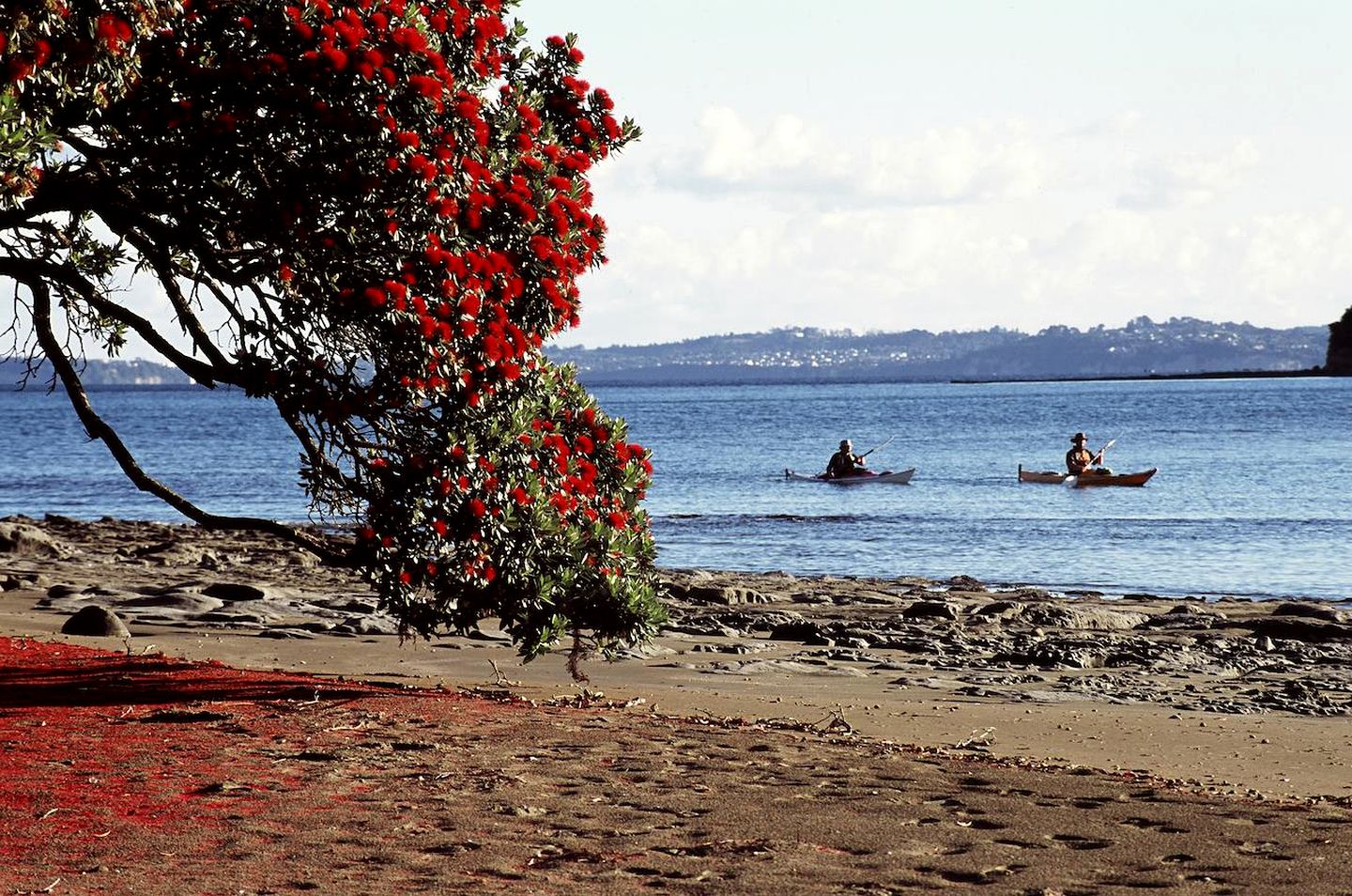 Lovely Glamping Getaway near Mahurangi Park and Puhoi, North Island