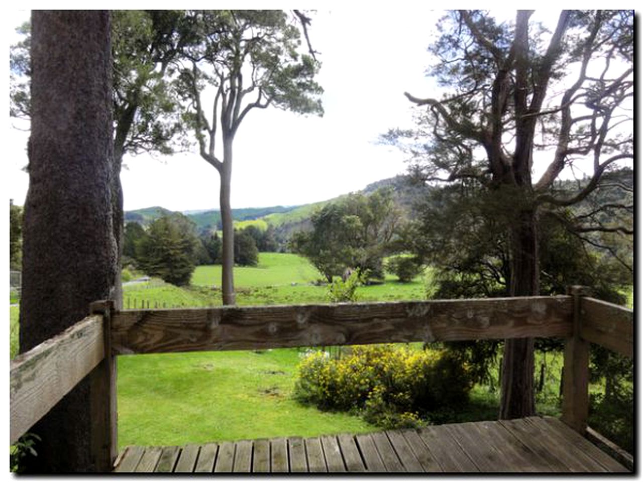 Peaceful Farm Cabin near Ruahine Forest Park in Rangiwahia, New Zealand